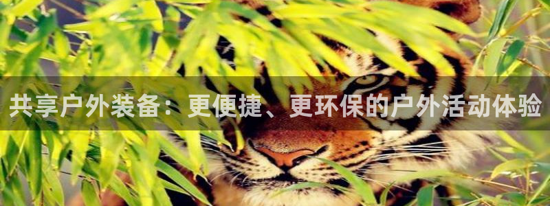 新宝gg怎么开户