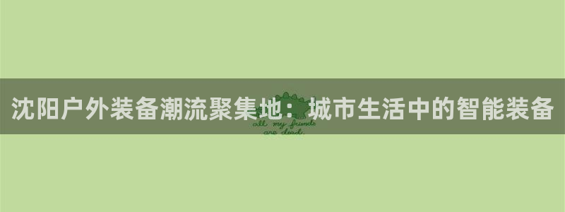 vip新宝gg